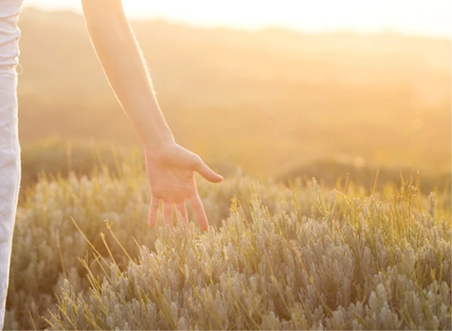 Symbolbild für spürbare Entlastung und innere Ruhe, wie sie durch eine wirksame Stress-Therapie entstehen können.